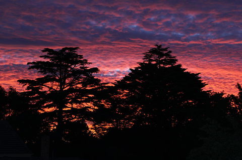 Pirralilla Estate Adelaide Hills - Great Ocean Road Tourism 26