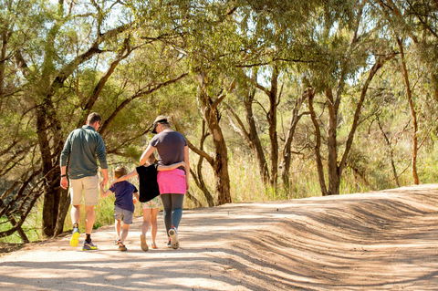BIG4 Renmark Riverfront Holiday Park - Great Ocean Road Tourism 13