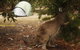 Discovery Parks - Kangaroo Island - thumb 35