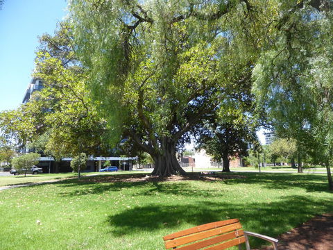 ADELAIDE CENTRAL APARTMENT - 3BR, 2BATH & CARPARK - Great Ocean Road Tourism 30