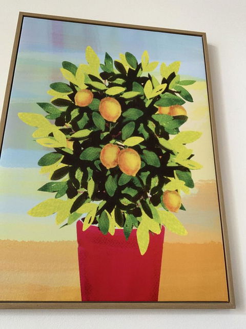 Sunshine Three - Great Ocean Road Tourism 2