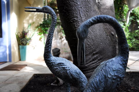 Athelney Cottage Bed And Breakfast - Great Ocean Road Tourism 14