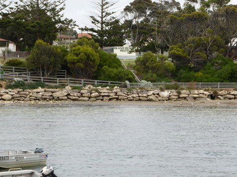 Island Motel Kingscote - Great Ocean Road Tourism 4