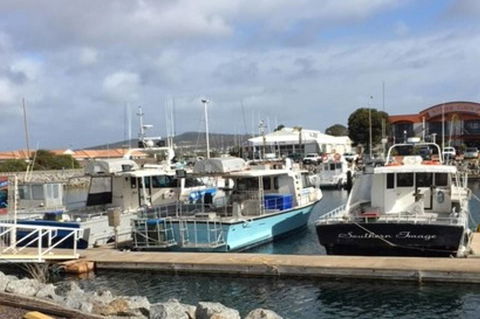 Port Lincoln Shark Apartment 2 - Great Ocean Road Tourism 17