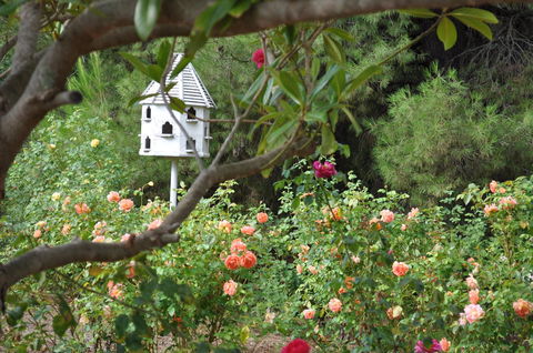 The Lyndoch Motel - Great Ocean Road Tourism 2