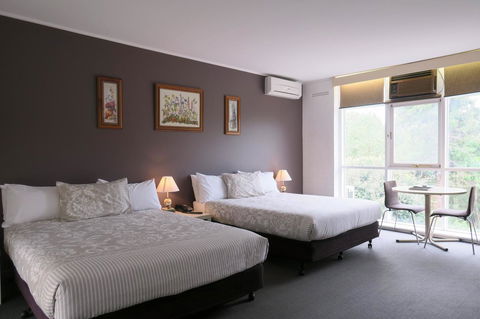 The Lyndoch Motel - Great Ocean Road Tourism 13