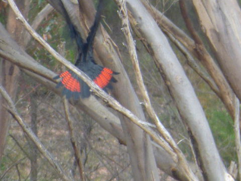Saar River House - Great Ocean Road Tourism 5