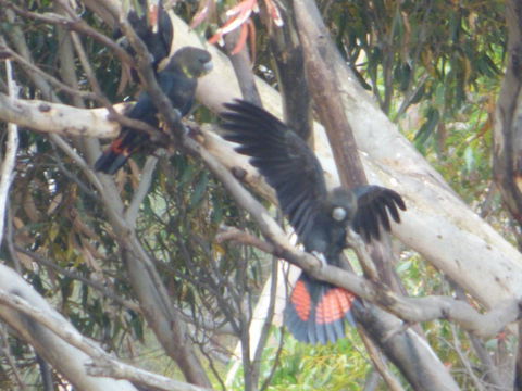 Saar River House - Great Ocean Road Tourism 4