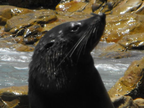 Saar River House - Great Ocean Road Tourism 25