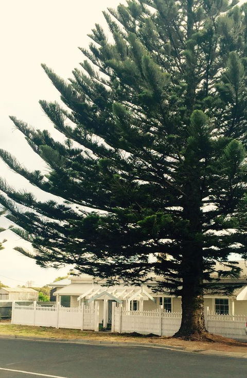 Railway Cottage In Beachport - Great Ocean Road Tourism 13