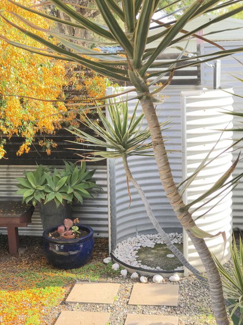 Milly\'s Middleton - Pet-friendly - Great Ocean Road Tourism 23