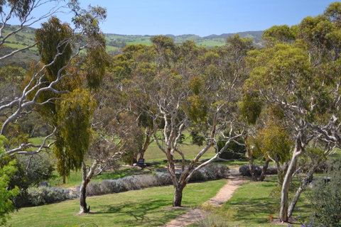 Shiraz Cottage - Great Ocean Road Tourism 9