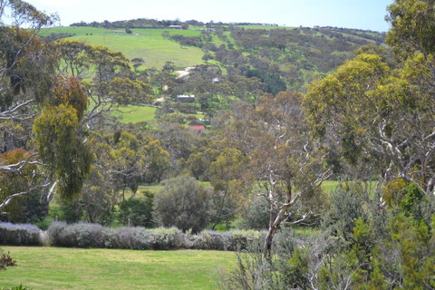 Shiraz Cottage - Great Ocean Road Tourism 8
