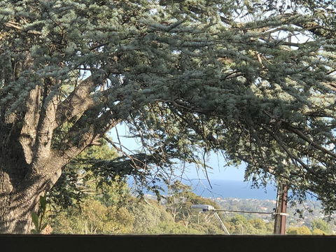 Stunning House With Beautiful Entertainment Area!! - Great Ocean Road Tourism 8