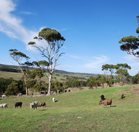 Lisieux Farm Bed and Breakfast - Great Ocean Road Tourism