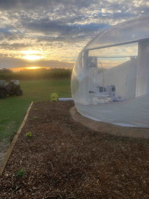 Coonawarra Bubble Tents - Great Ocean Road Tourism 6