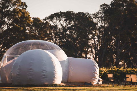 Coonawarra Bubble Tents - Great Ocean Road Tourism 14