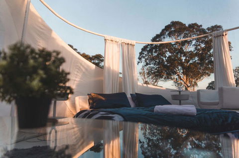 Coonawarra Bubble Tents - Great Ocean Road Tourism 12