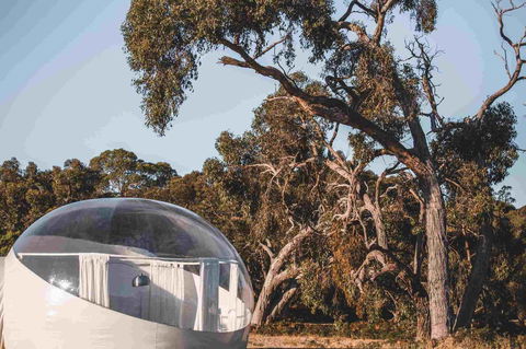 Coonawarra Bubble Tents - Great Ocean Road Tourism 10