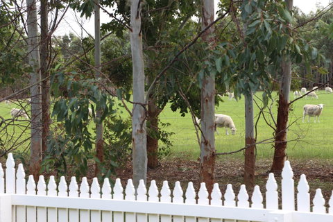 Sapphire Chalets, Augusta - Great Ocean Road Tourism 9