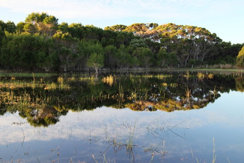 Sapphire Chalets, Augusta - Great Ocean Road Tourism 14