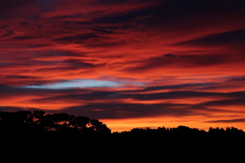 Sapphire Chalets, Augusta - Great Ocean Road Tourism 15