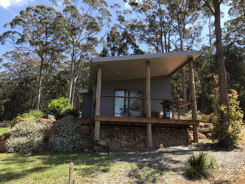 The Floating Forest - Great Ocean Road Tourism 0