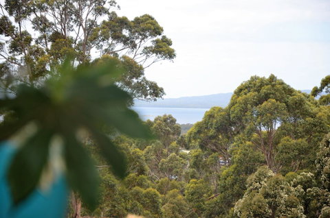 The Floating Forest - Great Ocean Road Tourism 8