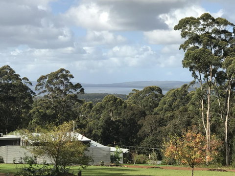 The Floating Forest - Great Ocean Road Tourism 2