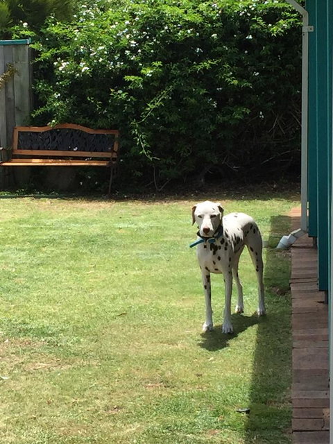 Beachside Prevelly Villas - Great Ocean Road Tourism 31