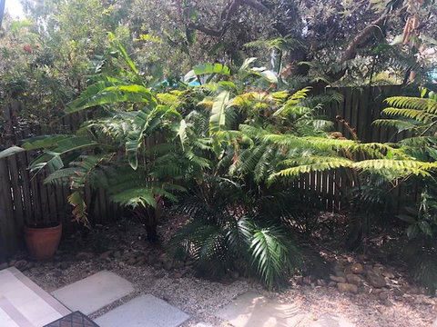 East On Byron - Great Ocean Road Tourism 40