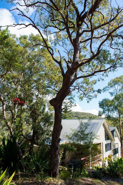 Nelson Bay Bed & Breakfast - Great Ocean Road Tourism 42