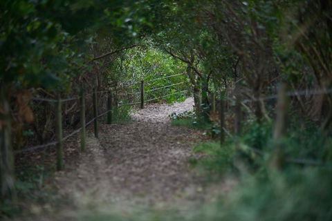 Ingenia Holidays Byron Bay - Great Ocean Road Tourism 15