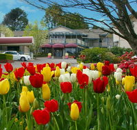 Nesuto Leura Gardens formerly Waldorf Leura Gardens Resort - Great Ocean Road Tourism