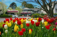 Book Leura Accommodation Vacations Great Ocean Road Tourism Great Ocean Road Tourism