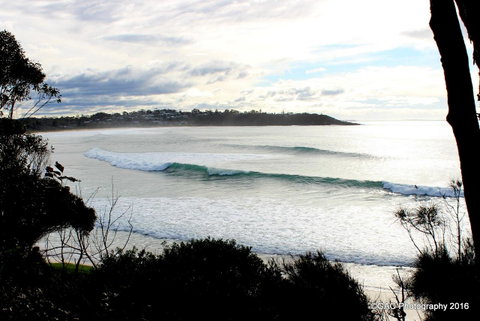 Mollymook Cove Apartments - Great Ocean Road Tourism 2