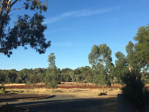Junee Motor Inn - Great Ocean Road Tourism 24
