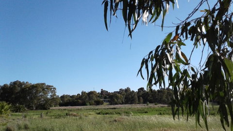 Junee Motor Inn - Great Ocean Road Tourism 8