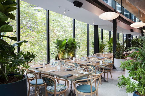 Vibe Hotel North Sydney - Great Ocean Road Tourism 4