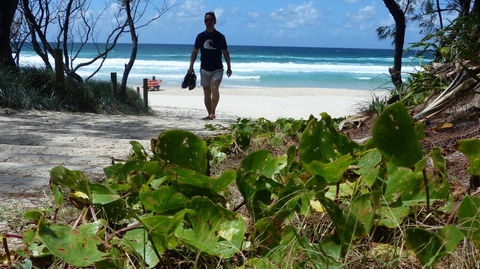 SaltBeach2302 - Great Ocean Road Tourism 15