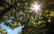 Crowne Plaza Hawkesbury Valley, An IHG Hotel - thumb 43