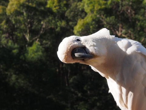 Bundle Hill Cottages - Great Ocean Road Tourism 1