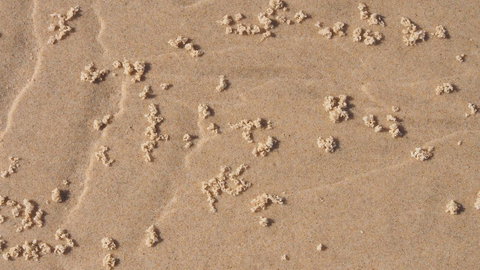 Bundle Hill Cottages - Great Ocean Road Tourism 4