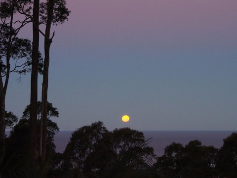Bundle Hill Cottages - Great Ocean Road Tourism 36