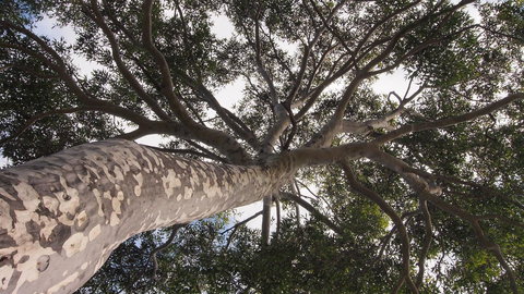 Bundle Hill Cottages - Great Ocean Road Tourism 20