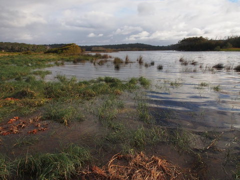 Bundle Hill Cottages - Great Ocean Road Tourism 31