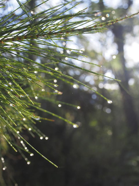 Bundle Hill Cottages - Great Ocean Road Tourism 5