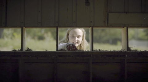 The Woods Farm Jervis Bay - Great Ocean Road Tourism 11