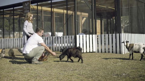 The Woods Farm Jervis Bay - Great Ocean Road Tourism 14