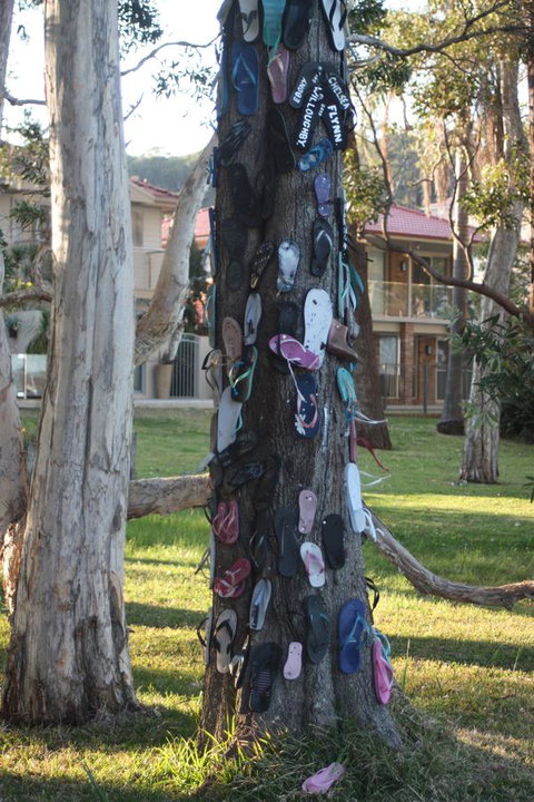 Ambience - Great Ocean Road Tourism 33